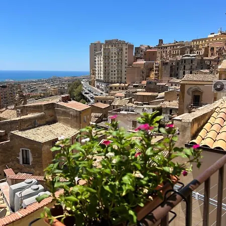 Calua Experience View