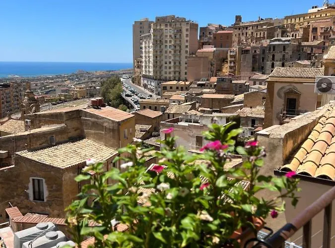 Calua Experience View